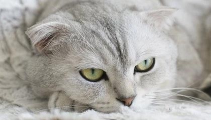 50米蝶泳刷新PB，潘展乐：成绩挺一般，以赛代练报个名玩玩